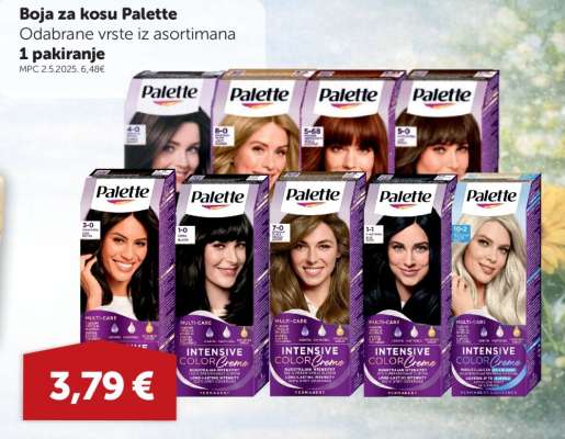 BOJA ZA KOSU PALETTE