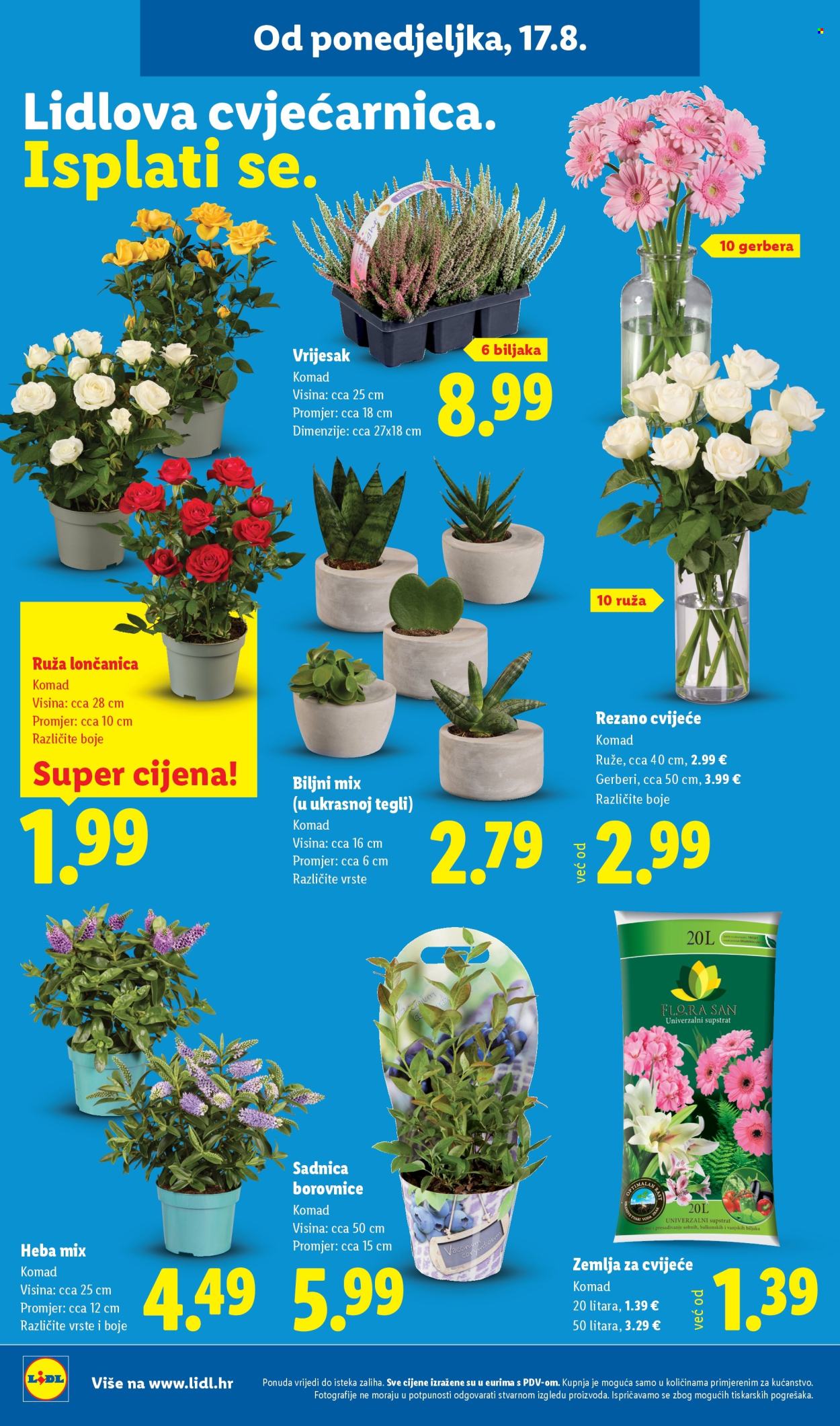 Lidl katalog - 17.08.2026. - 23.08.2026. Stranica 44