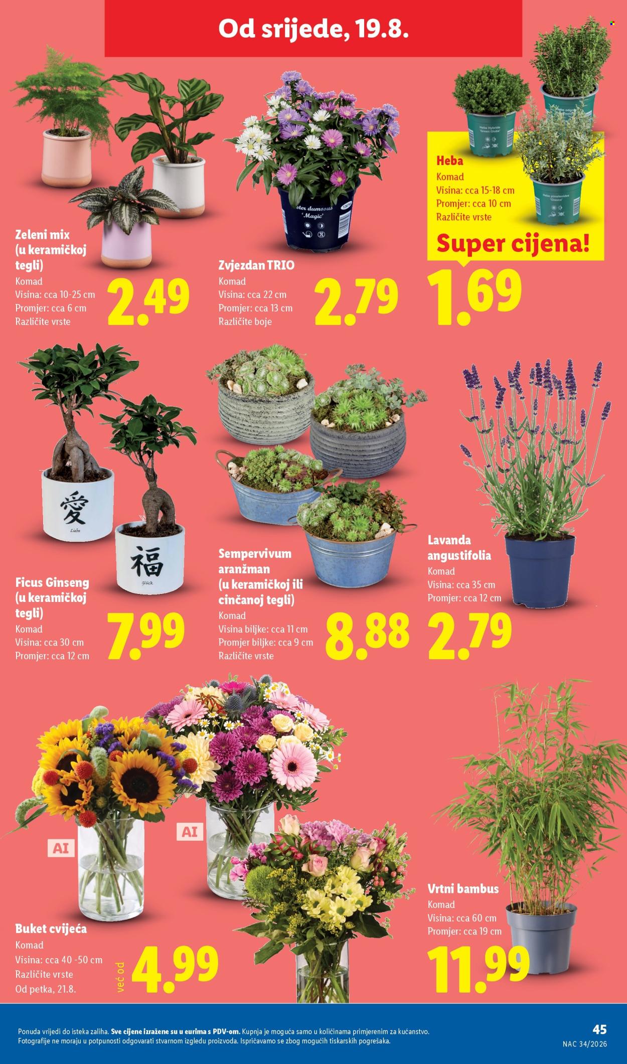 Lidl katalog - 17.08.2026. - 23.08.2026. Stranica 45