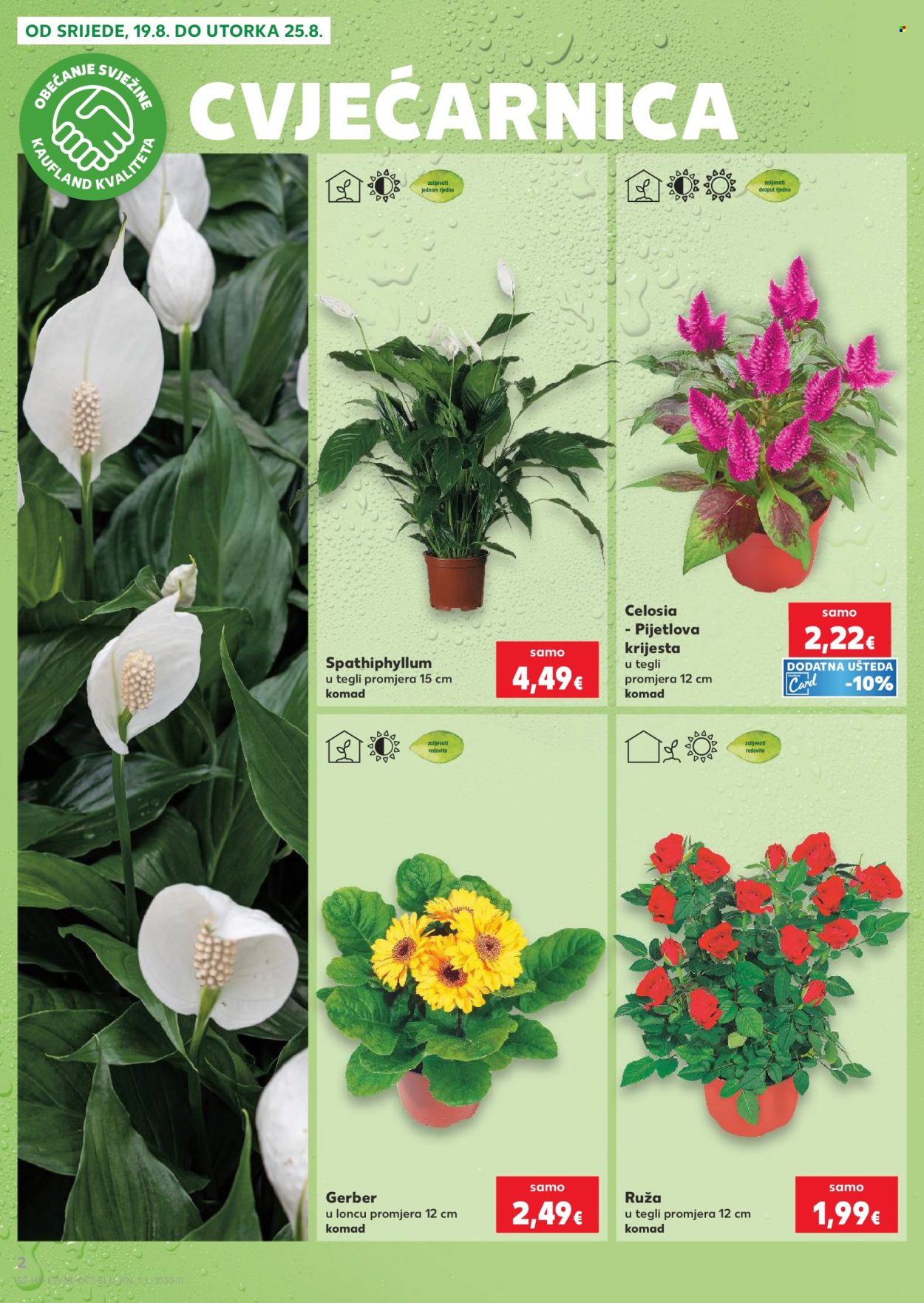 Kaufland katalog - 19.08.2026. - 25.08.2026. Stranica 2