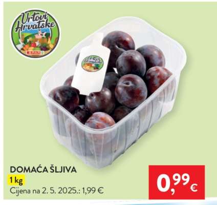 Domaća šljiva