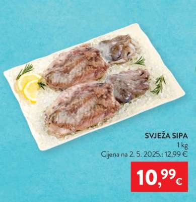 SVJEŽA SIPA