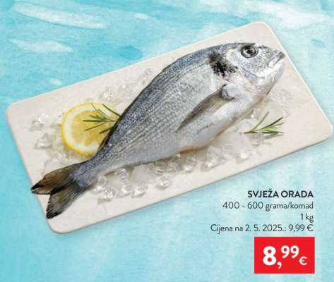 Svježa orada
