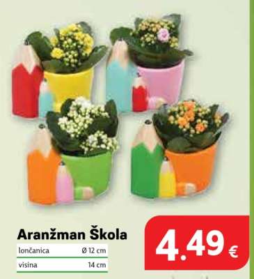 Aranžman Škola