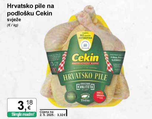 Hrvatsko pile na podlošku Cekin