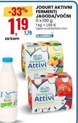 JOGURT AKTIVNI FERMENTI JAGODA/ VOĆNI