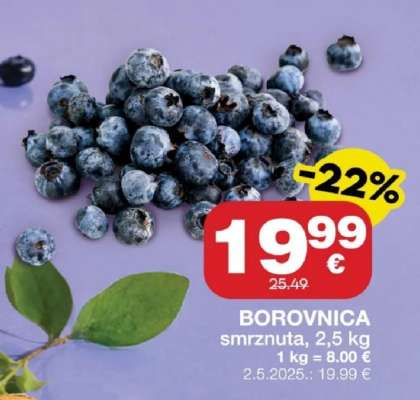 Borovnica
