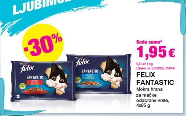 FELIX FANTASTIC