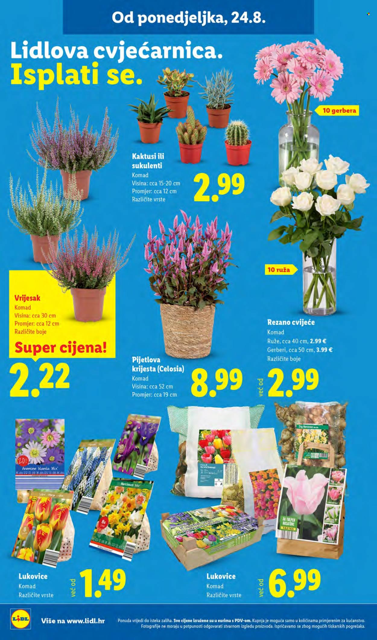 Lidl katalog - 24.08.2026. - 30.08.2026. Stranica 46