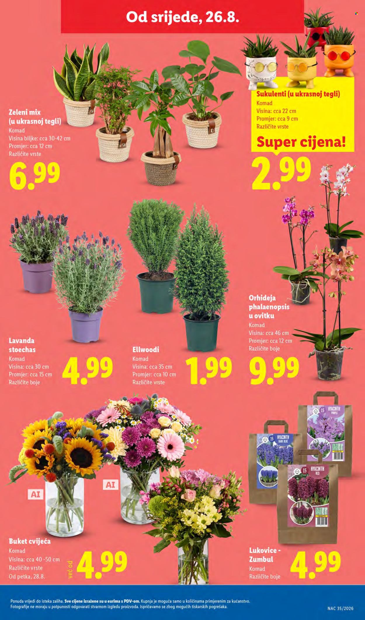 Lidl katalog - 24.08.2026. - 30.08.2026. Stranica 47