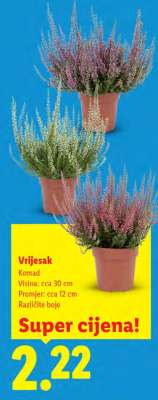 Vrijesak