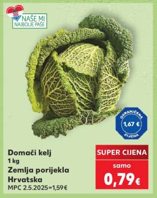Domáči kelj