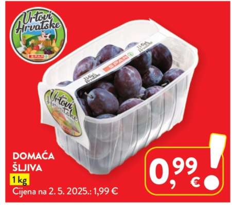Domaća šljiva