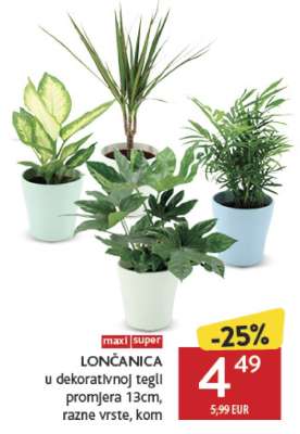 LONČANICA