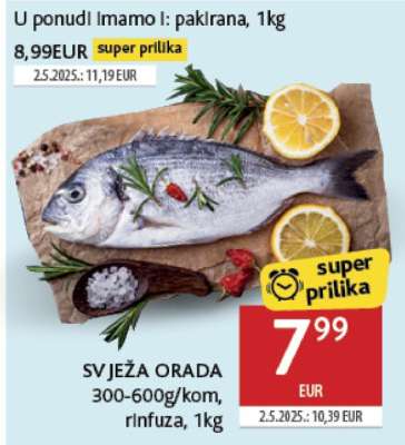 Svježa orada