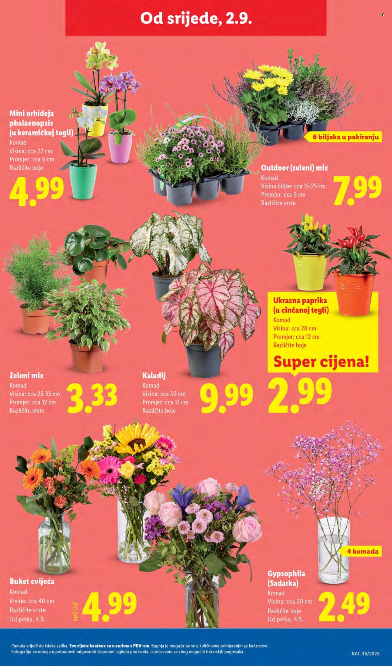 Lidl katalog - 31.08.2026. - 06.09.2026. Stranica 47