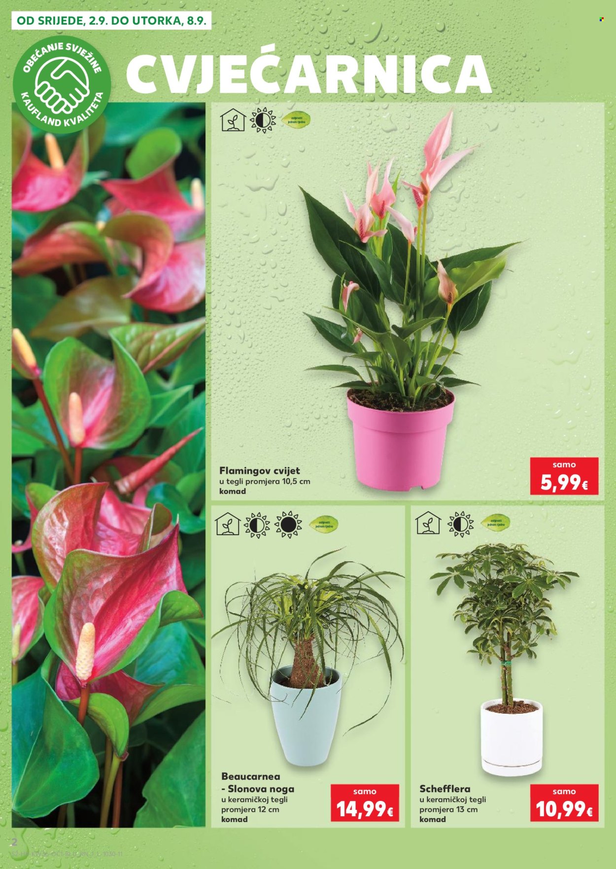 Kaufland katalog - 02.09.2026. - 08.09.2026. Stranica 2