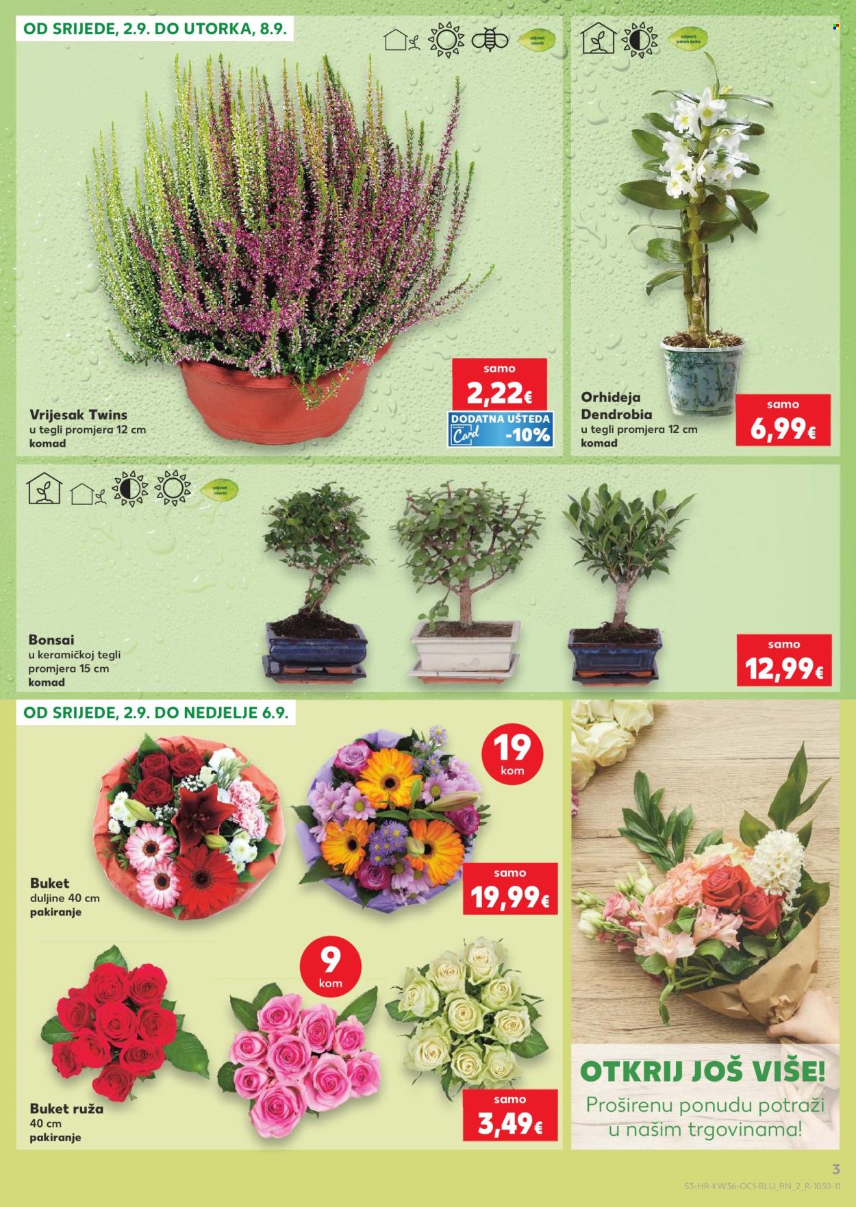 Kaufland katalog - 02.09.2026. - 08.09.2026. Stranica 3