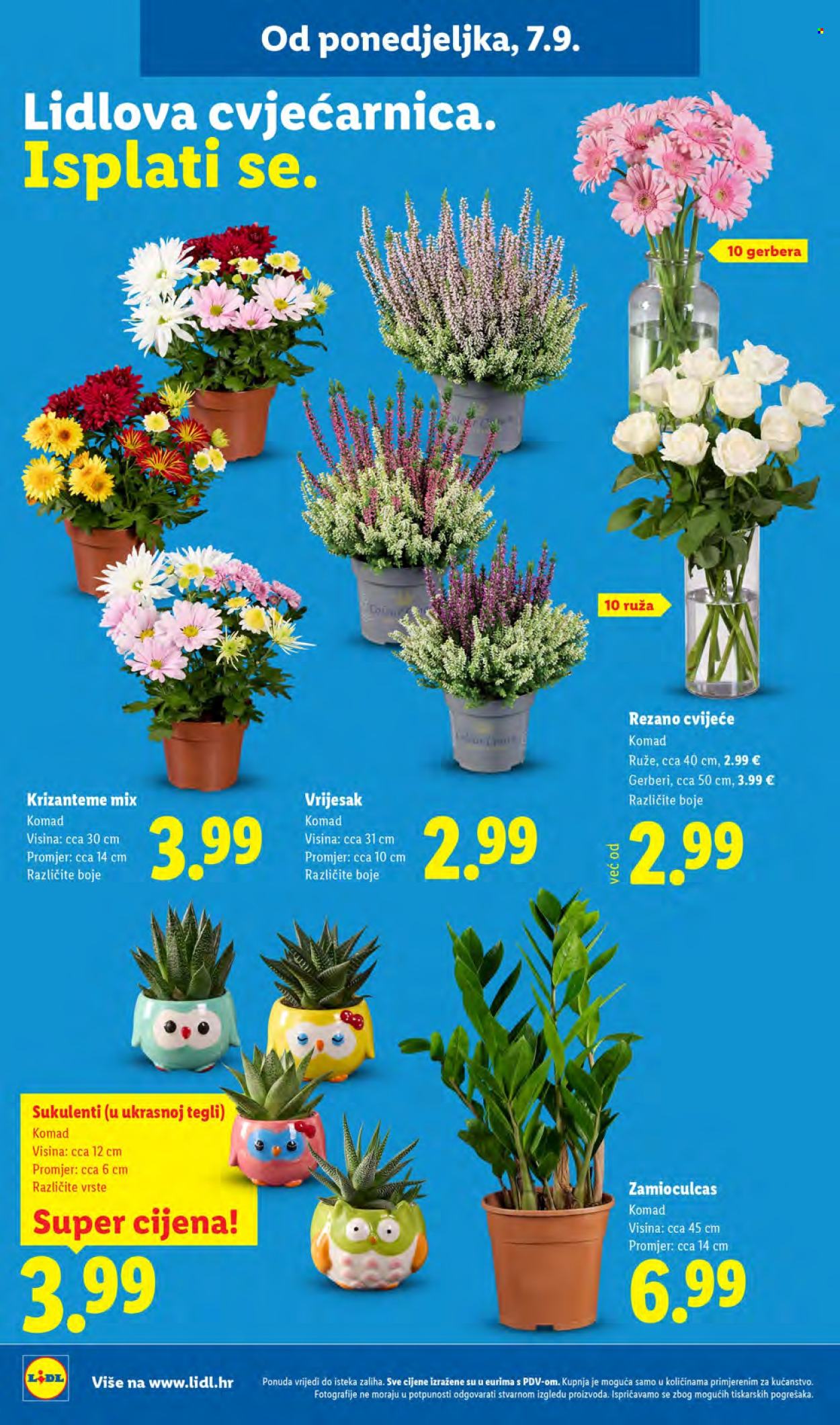 Lidl katalog - 07.09.2026. - 13.09.2026. Stranica 60