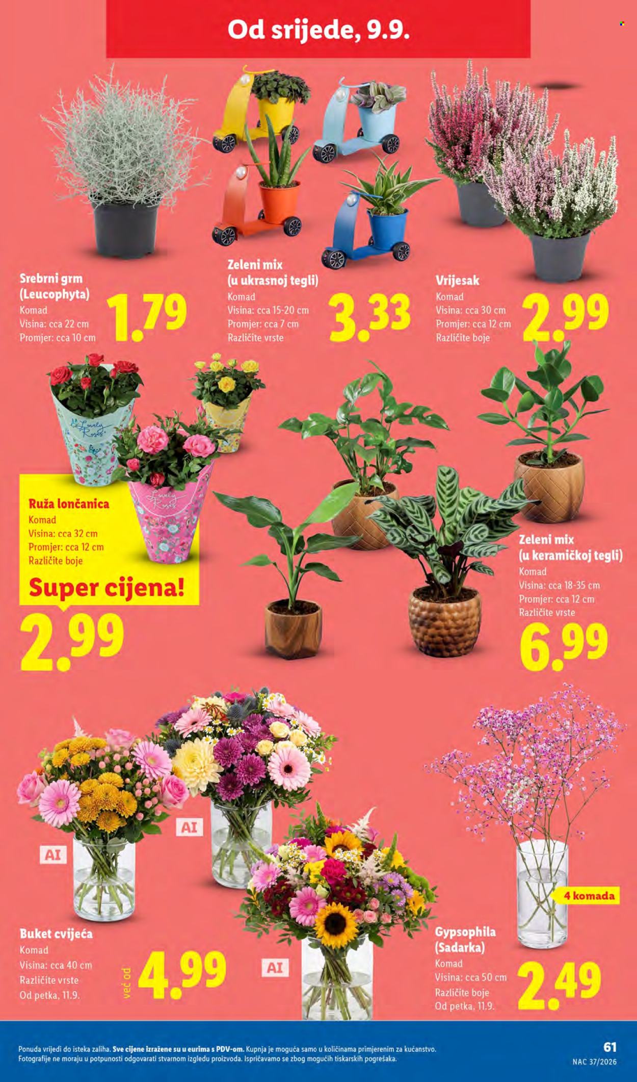 Lidl katalog - 07.09.2026. - 13.09.2026. Stranica 61