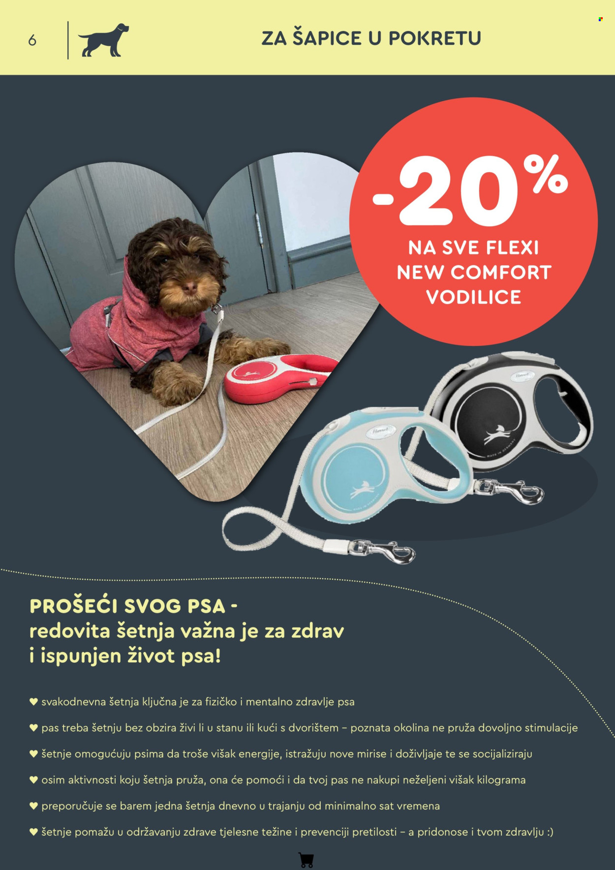 Leták Zoo City - 3.9.2026 - 27.10.2026. Strana 6