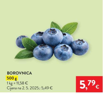 Borovnica
