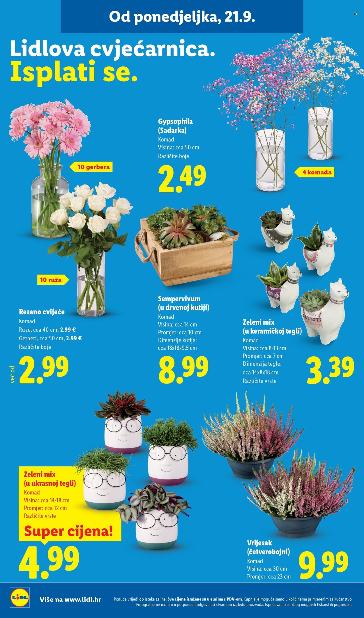 Lidl katalog - 21.09.2026. - 27.09.2026. Stranica 42