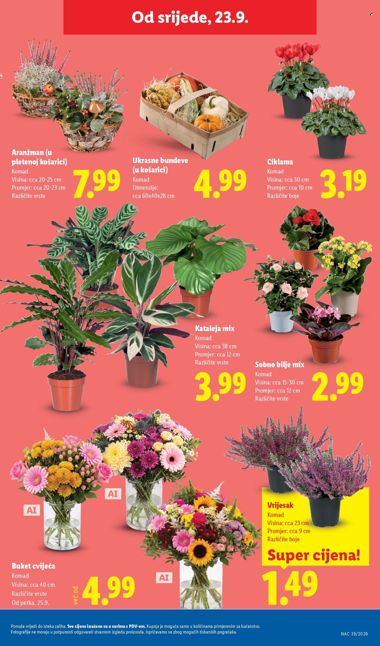 Lidl katalog - 21.09.2026. - 27.09.2026. Stranica 43