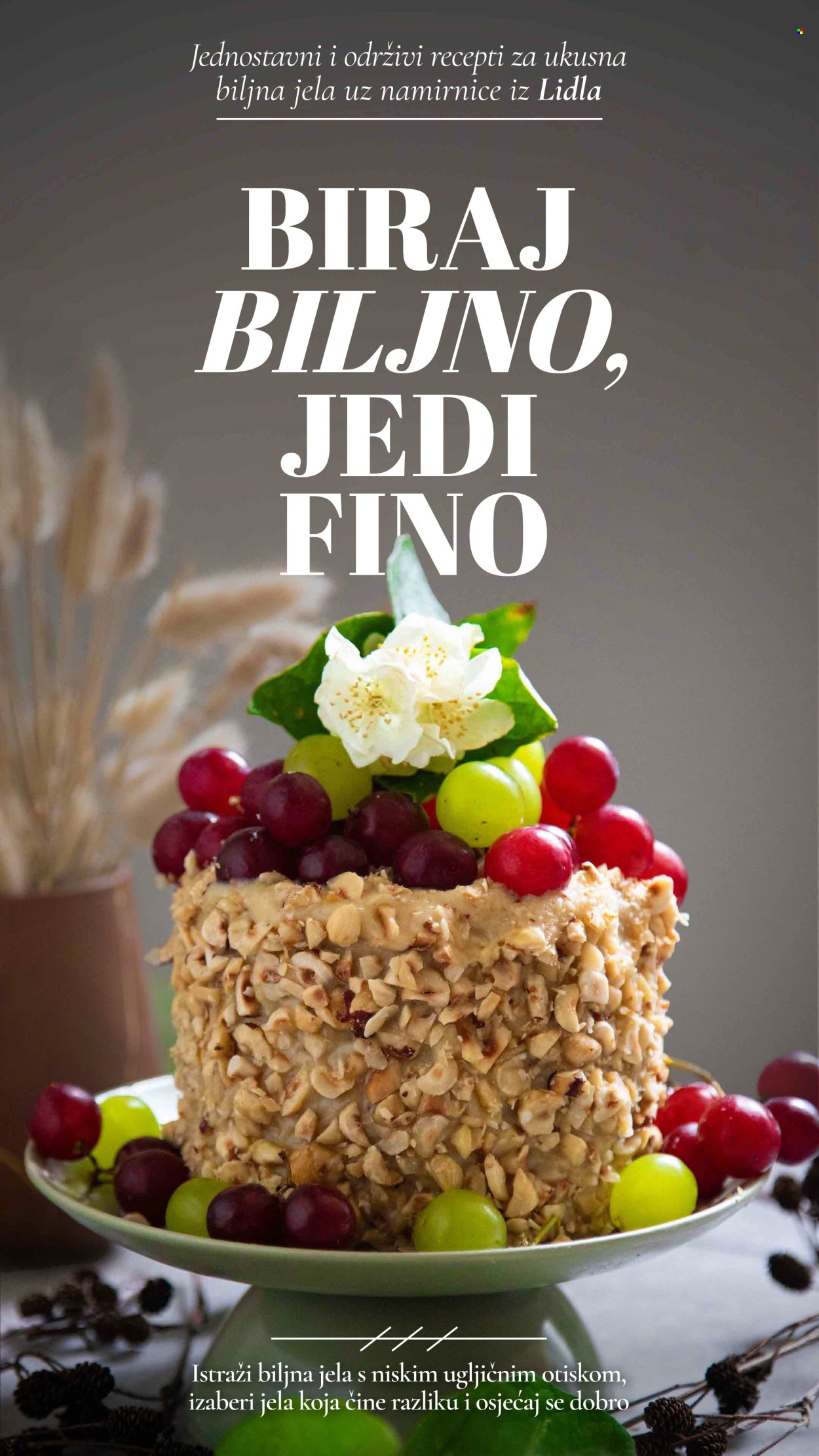 Lidl katalog Stranica 1