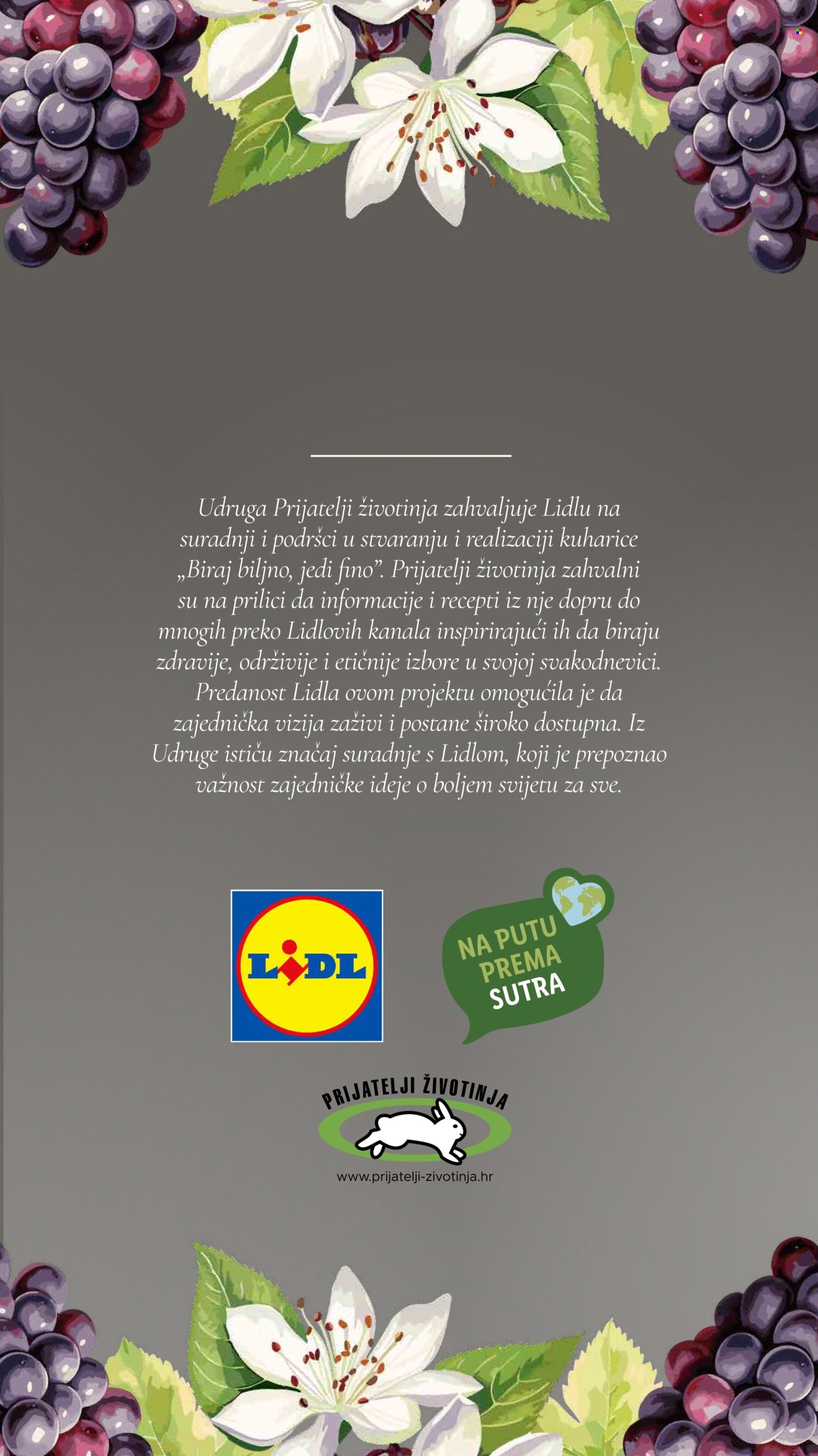 Lidl katalog Stranica 78