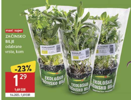 Začinsko bilje