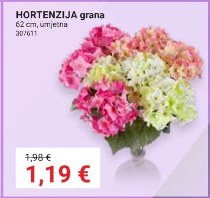 HORTENZIJA grana