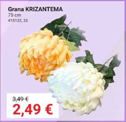 Grana KRIZANTEMA