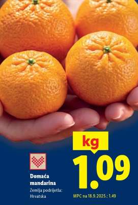 Domaća mandarina
