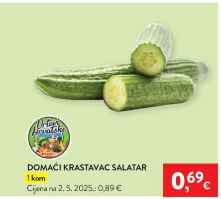 Domaći krastavac salatar
