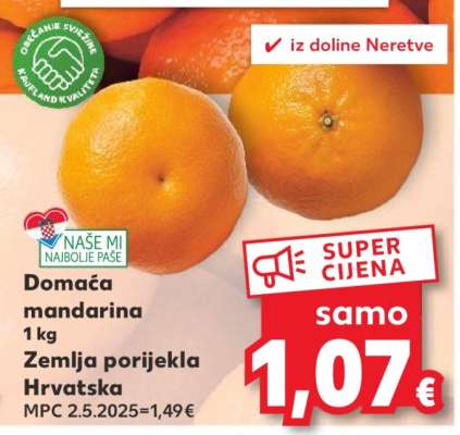 Domaća mandarina