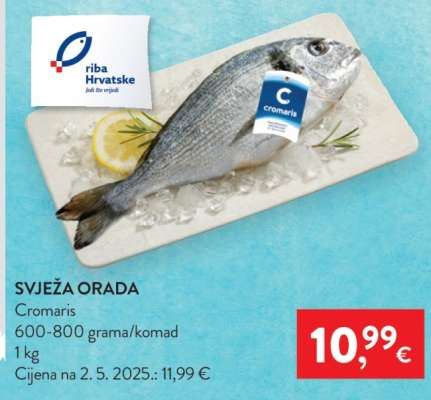 Svježa orada