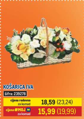 Košarica Iva*