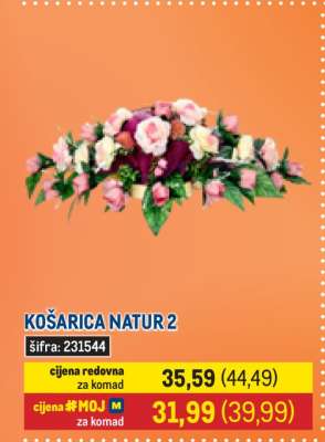 KOŠARICA NATUR 2