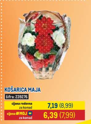 KOŠARICA MAJA
