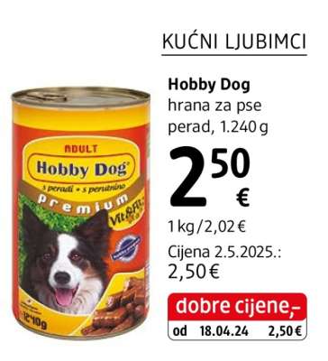 Hobby Dog*