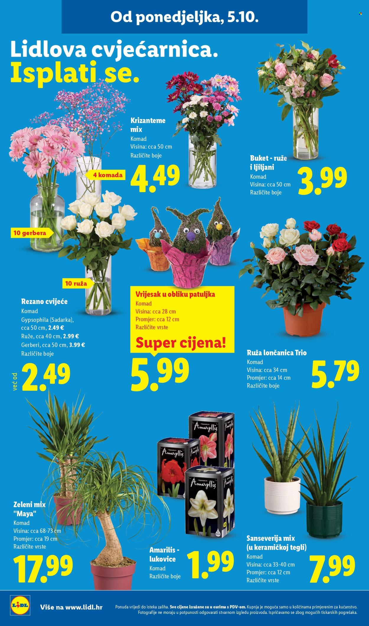 Lidl katalog - 05.10.2026. - 11.10.2026. Stranica 52