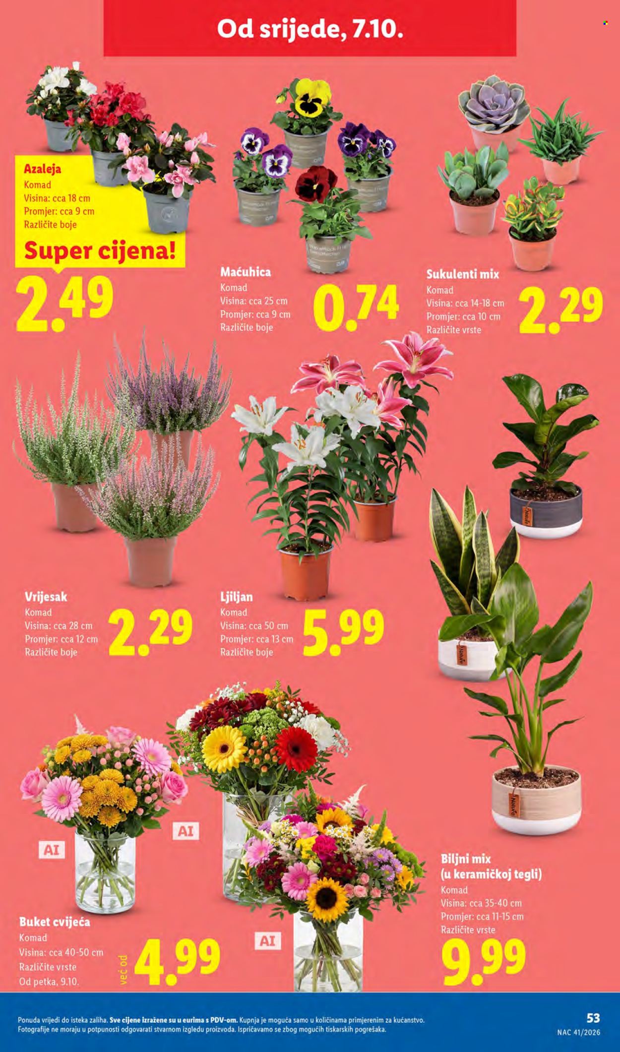 Lidl katalog - 05.10.2026. - 11.10.2026. Stranica 53