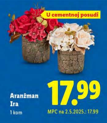 Aranžman Ira