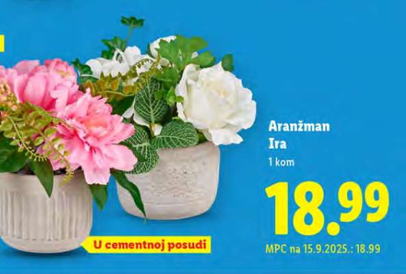 Aranžman Ira