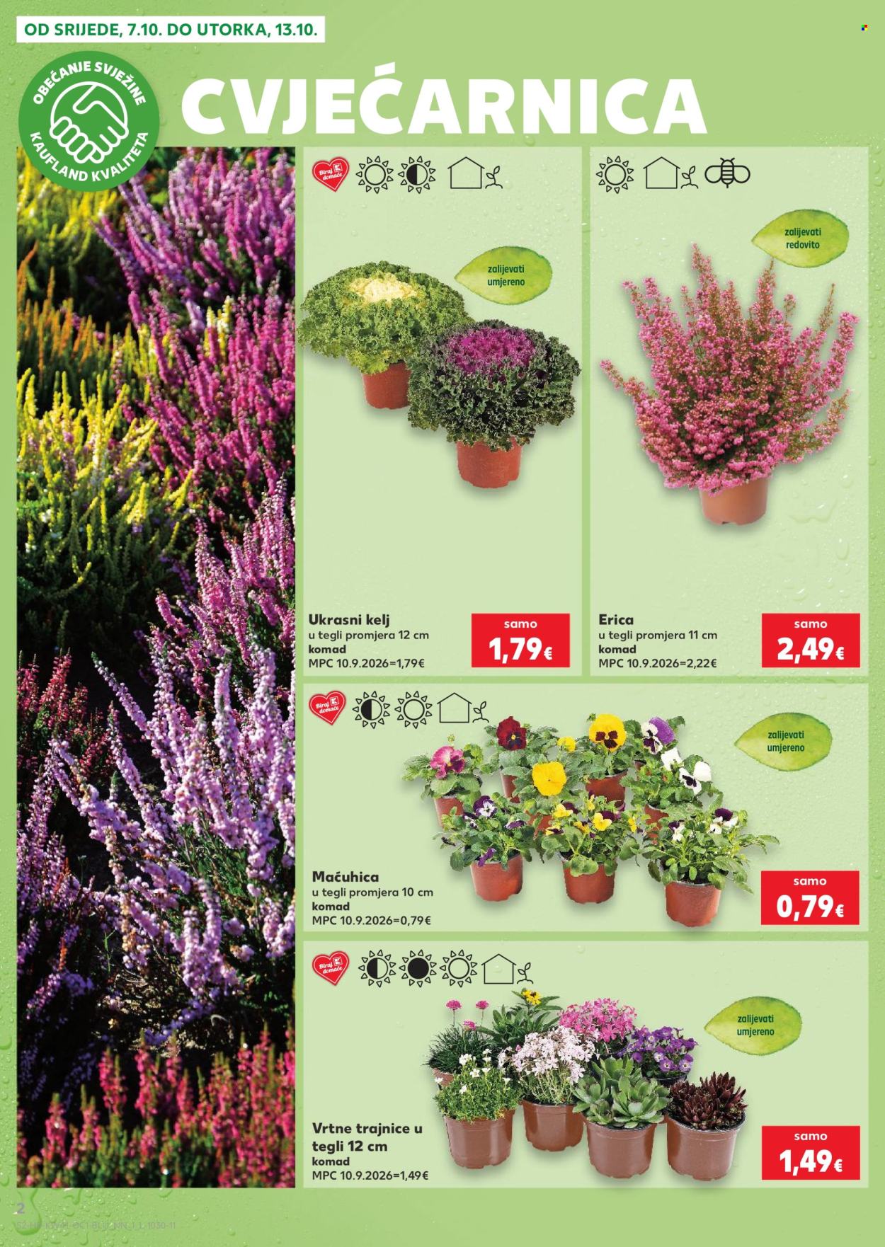 Leták Kaufland - 7.10.2026 - 13.10.2026. Strana 2