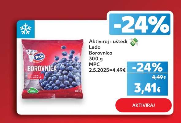 Ledo Borovnica 300 g