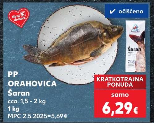 Šaran