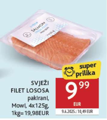 Svježi filet lososa