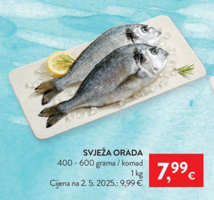 Svježa orada